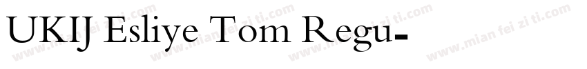 UKIJ Esliye Tom Regu字体转换